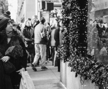 Workshop de vitrines